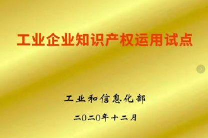 2020年工业企业知识产权运用试点